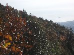 ntrada Ilice-20091230 011